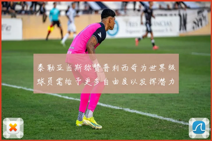 泰勒亚当斯称赞普利西奇为世界级球员需给予更多自由度以发挥潜力