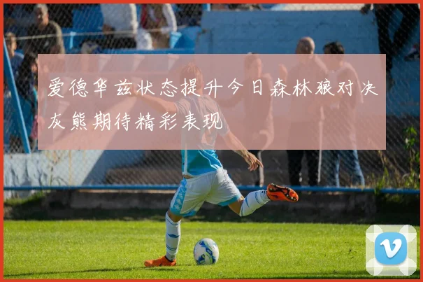 爱德华兹状态提升今日森林狼对决灰熊期待精彩表现