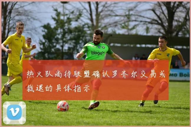 热火队尚待联盟确认罗齐尔交易或裁退的具体指示