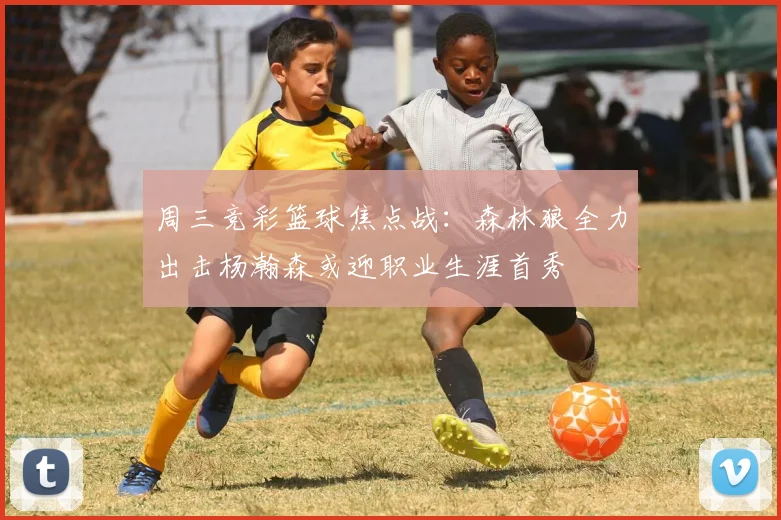 周三竞彩篮球焦点战：森林狼全力出击杨瀚森或迎职业生涯首秀