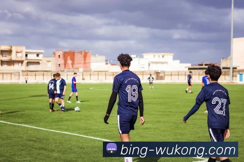 悟空体育发展历程